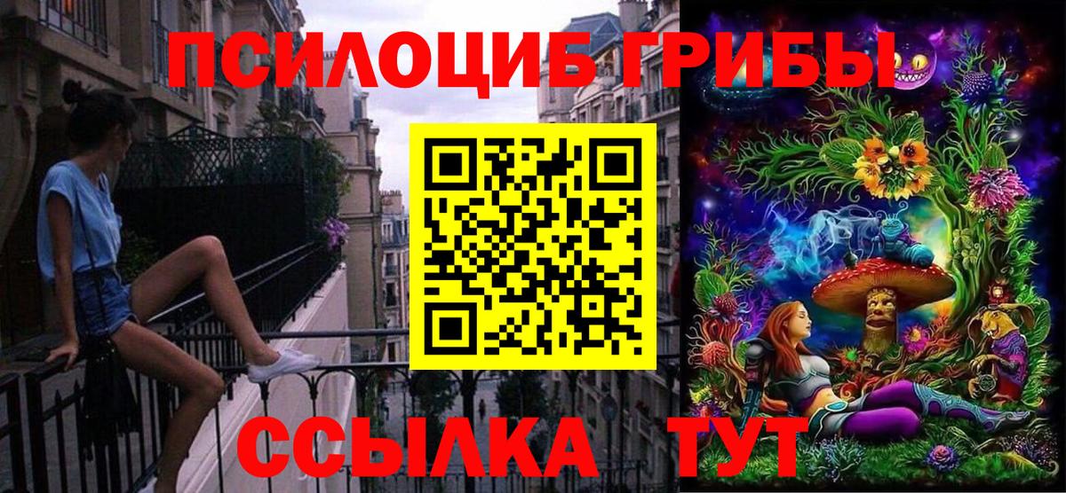 Псилоцибиновые грибы Psilocybine cubensis Прохладный